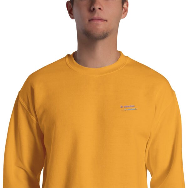 Sweat Unisexe brodé « En attendant le weekend » – Image 26