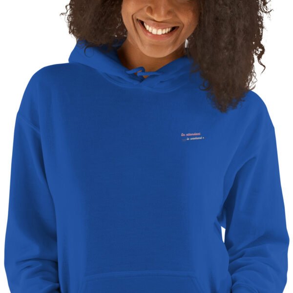 Sweat à capuche Unisexe Brodé "En attendant le weekend" + impression dos – Image 14