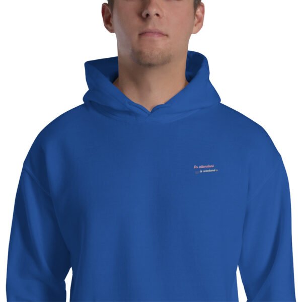 Sweat à capuche unisexe brodé « En attendant le weekend » – Image 12